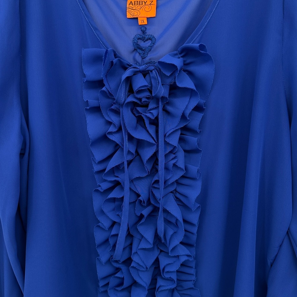 Abby Z Top Shirt Blouse Size 2X Sheer Ruffle Embroidered Coquette Elegant Glam - Picture 5 of 14